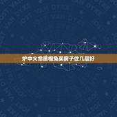 炉中火命属相兔买房子住几层好，本人属兔，87年，找人算过是火命，卖15