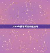 2007年属猪男孩命运如何，95年属猪2022 年的运势