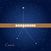猪宝宝最佳属相婚配，生肖猪跟什么最配，属猪的属相婚配表