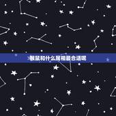 猴鼠和什么属相最合适呢，属鼠的派什么属相好