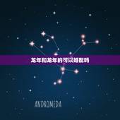 龙年和龙年的可以婚配吗，龙年出生的人和哪年出生的人最相配？
