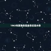 1963年属兔的是金命还是水命，1963年属兔的贵人