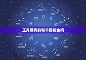 正月属狗的和羊属相合吗，属狗的和属羊的在一起好吗