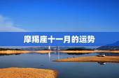 摩羯座十一月的运势，87年摩羯座11月份工作运势