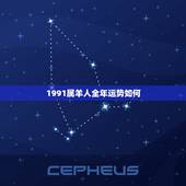 1991属羊人全年运势如何，属鸡2022 年运势及运程