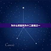 为什么把鼠列为十二属相之一，十二生肖的顺序是谁安排的，为什么要这样安排