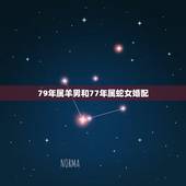 79年属羊男和77年属蛇女婚配，77年男和79年女结婚好不好