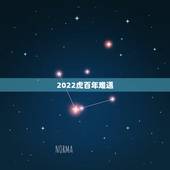 2022虎百年难遇，2022年属虎的是什么命