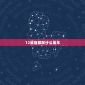 12星座最配什么豪车，12星座最配的车是什么牌子的车？