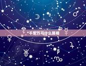 *千军万马什么属相，千军万马，是什么生肖呢