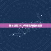 猪年运势2022年运程每月份运程，猪年生人的鼠年运程