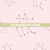 1995年属猪的正缘什么时候到，95年属猪哪年遇到另一半