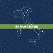 埋乌龟为什么要头朝北，为什么乌龟死了头要朝北埋？