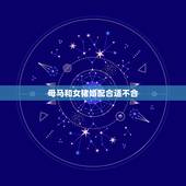 母马和女猪婚配合适不合，属猪和属马合不合