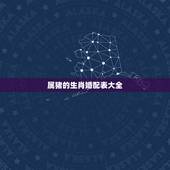 属猪的生肖婚配表大全，95年属猪的属相婚配表
