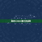 属虎人2022面六月运势，2022年属虎人的全年运势