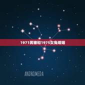 1971男猪和1975女兔婚姻，1971年男和1975年女婚配