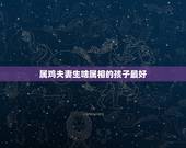 属鸡夫妻生啥属相的孩子最好，十二生肖配对马与鸡能否婚配配