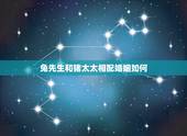 兔先生和猪太太相配婚姻如何，兔和猪相配婚姻会幸福吗