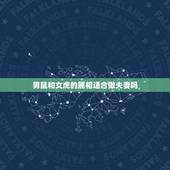 男鼠和女虎的属相适合做夫妻吗，生肖鼠和虎年可以结为夫妻吗