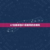 67年属羊和81年属鸡的合婚吗，属羊与属鸡婚配好不好