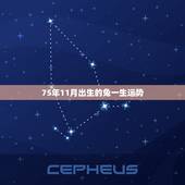 75年11月出生的兔一生运势，1975年兔五行属什么命