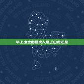 早上出生的属虎人是上山虎还是，卯时属虎的男孩属上山虎还是下山虎