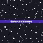 天秤座与摩羯座婚配好吗，摩羯座和天秤座的人都是优秀的？没有垃圾人？