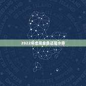 2022年虎是金命还是水命，2024年龙年是什么命