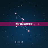 双子明天运势如何，双子座明日运势