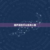 葫芦适合什么生肖人戴，虎年各个生肖属性的人应配带些什么饰物？