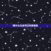 有什么办法可以吓跑老鼠，驱赶老鼠最有效  小妙招