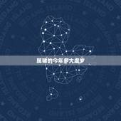 属猪的今年多大虚岁，属猪今年多大2022