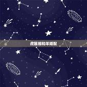 虎属相和羊婚配，属羊和属虎相配吗
