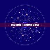 数字9是什么属相的幸运数字，年十二生肖吉利数字有哪些