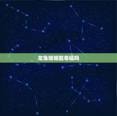 龙兔婚姻能幸福吗，龙兔婚姻有没有幸福的