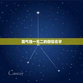 霸气独一无二的微信名字，霸气独一无二微信网名