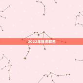 2022年属虎取名，2022年属虎男孩取名名叫何山可以吗？女孩名叫何珊