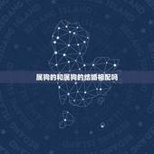 属狗的和属狗的结婚相配吗，属狗男和什么属相的女性结婚最合适