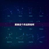 属猪这个月运势如何，2010年属猪人的运势？