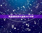 男宝宝取名字大全集2021牛年，何姓牛宝宝取名大全2021款