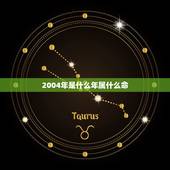 2004年是什么年属什么命，2004年属猴的男孩是什么命