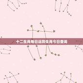 十二生肖每日运势生肖今日查询，生肖兔今天运势
