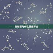 狗和猴与什么属相不合，属猴与属狗相冲么