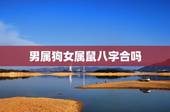 男属狗女属鼠八字合吗，94狗跟96鼠可以结婚吗