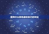 属狗什么颜色最旺自己的财运，属狗开什么颜色车最旺