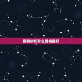 摇钱树和什么属相最好，摇钱树指什么动物