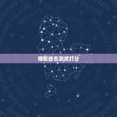 婚配姓名测试打分，婚配八字 求高人指点！ 男：甲子年辛未月丁巳日乙巳时