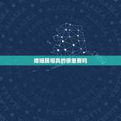 婚姻属相真的很重要吗，在婚姻中12生肖配对真的是那么重要吗？