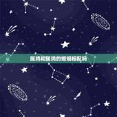 属鸡和属鸡的婚姻相配吗，2022年93年属鸡姻缘